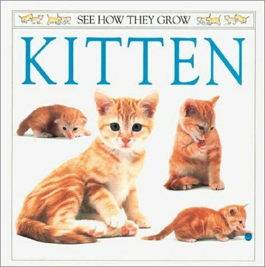 Kitten (see How They Grow) By Royston
