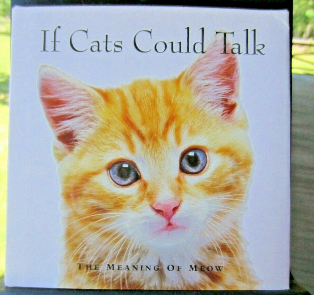 Book "if Cats Could Talk: Meaning Of Meow" Hardback Dust Cover Illustrated New