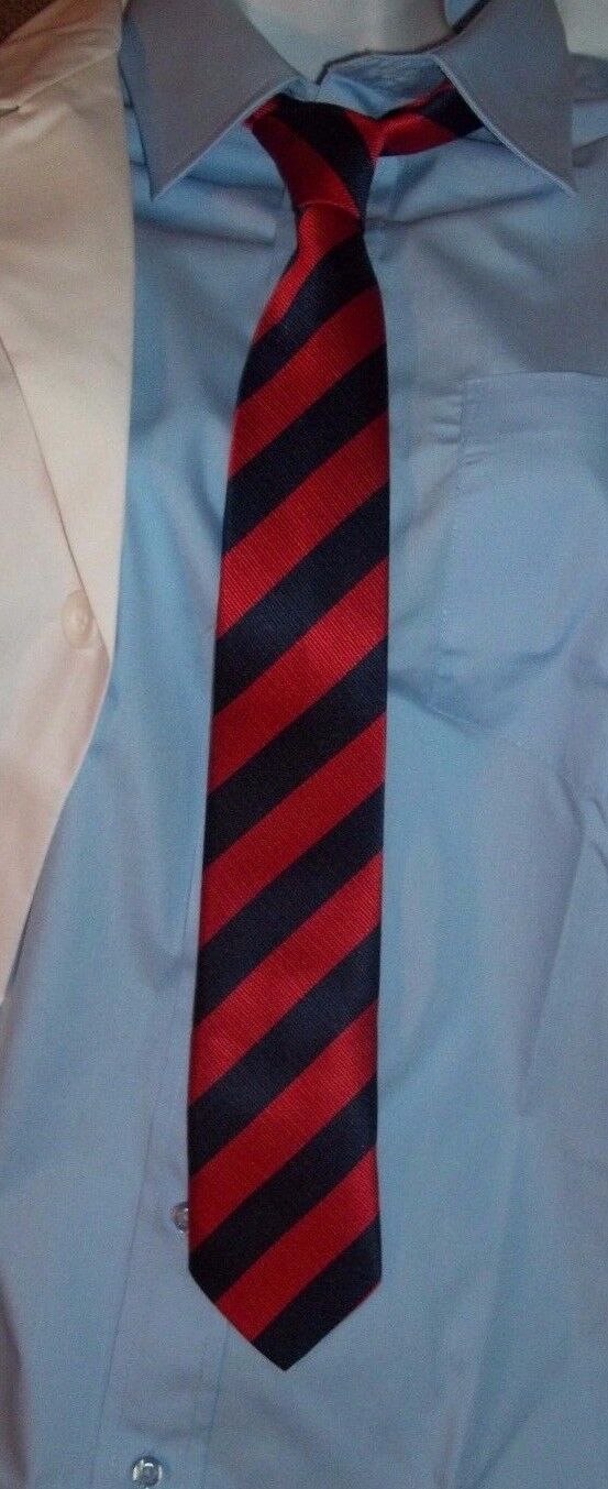 Half Life Black Mesa Costume Tie Only  For Research Scientist Blue Red Striped